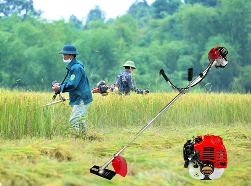 Máy cắt cỏ gọn nhẹ