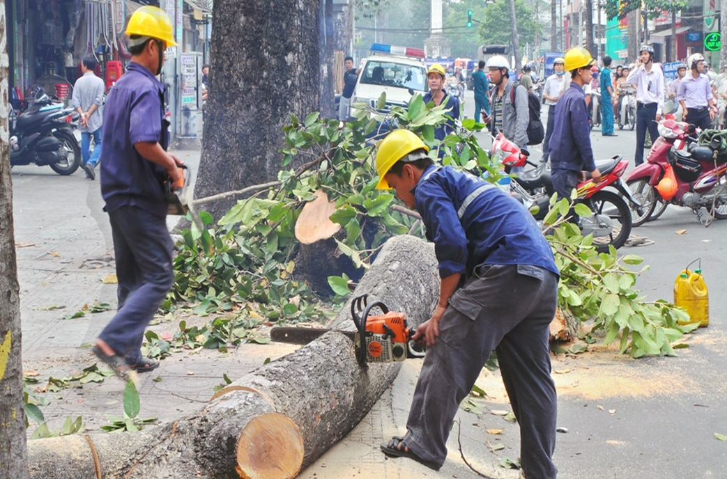 Máy cưa xích 2 thì phù hợp với công việc đòi hỏi sự nhanh nhẹn